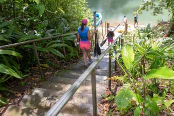 2 in 1 Safari Float & Fortuna Waterfall